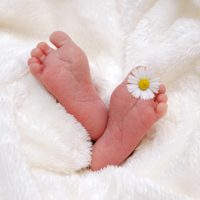 Lumière sur ta Naissance